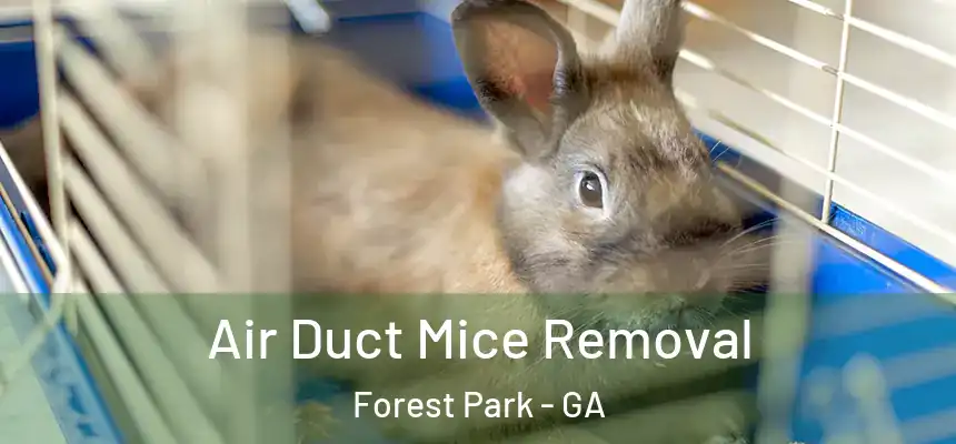  Air Duct Mice Removal Forest Park - GA