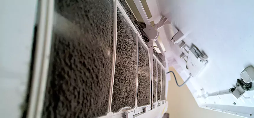 Preventive Air Duct Bacteria Removal in Forest Park