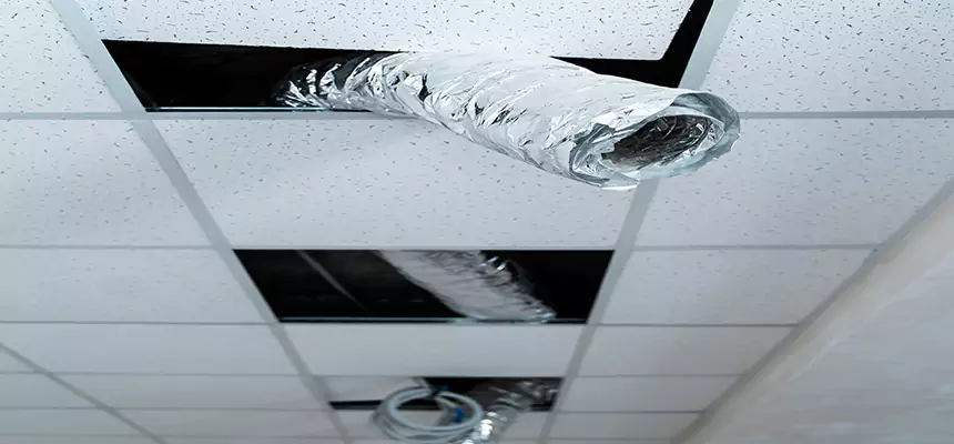 Our Air Duct Pet Hair Removal Services in Forest Park, GA