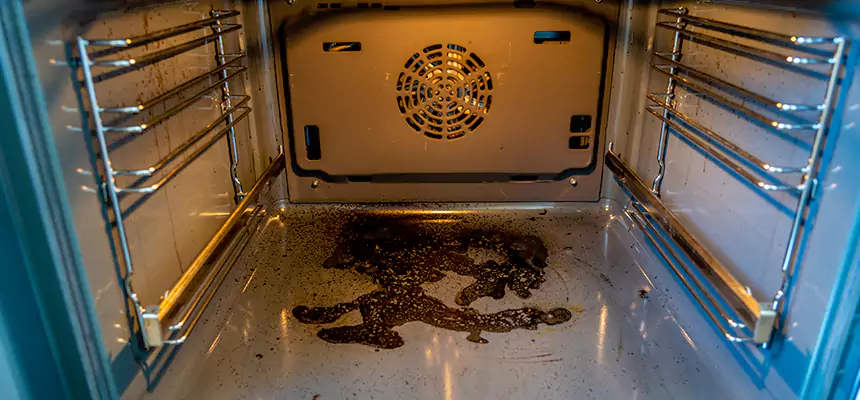 Our Dryer Vent Mold Cleaning Services in Forest Park, GA