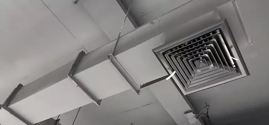 Our Rodent Droppings In Vents Services in Forest Park, GA