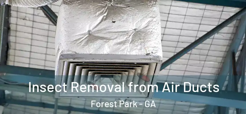  Insect Removal from Air Ducts Forest Park - GA