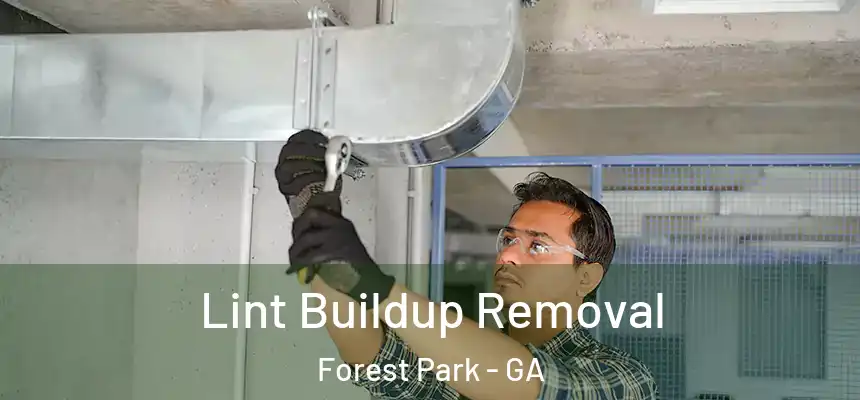  Lint Buildup Removal Forest Park - GA