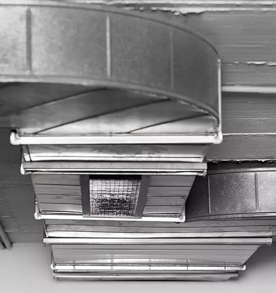 Professional Air Duct Pest Removal in Forest Park, GA