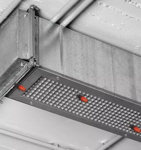 Affordable Insect Removal from Air Ducts in Forest Park, GA