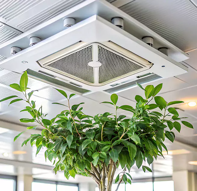 Why Homeowners & Businesses Trust Us in Forest Park, GA